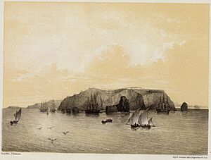 Archivo:Chincha drawing 1865