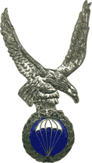 Archivo:Distintivo de Permanencia en Fuerzas Paracaidistas del Ejército de Tierra (España)