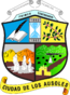 Escudo del departamento de ahuachapan..png