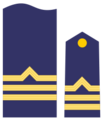 Fuerzaaererepublicaes2
