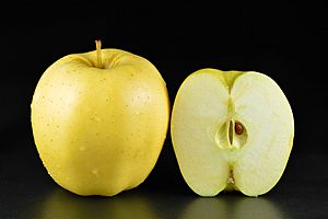 Archivo:Golden Delicious apples