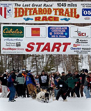 Archivo:Iditarod 2005 - Knolmayer start in Willow