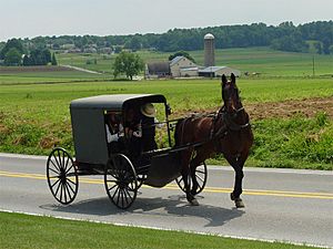 Archivo:Lancaster County Amish 03
