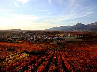 Lanciego en otoño.jpg