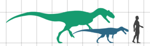 Archivo:Langenburg theropod size