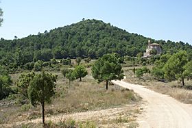 Montagut (Querol).jpg