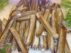 Archivo:Navajas (Ensis), marisco