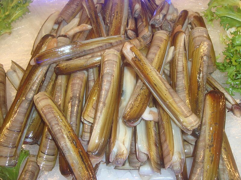 Navajas (Ensis), marisco