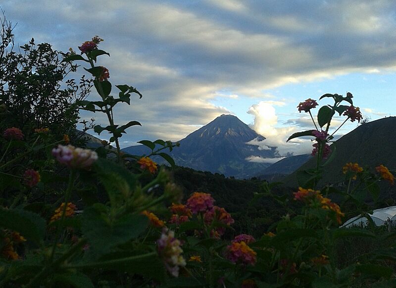 PatateTungurahua