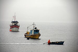 Archivo:Pescador en bote