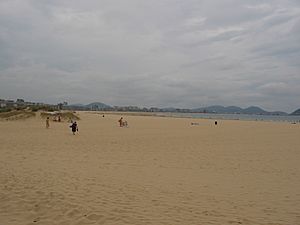 Archivo:Playa de Laredo (Cantabria)
