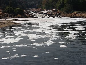 Archivo:Pollution Tietê river