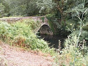 Archivo:Ponte medieval sobre o Lambre