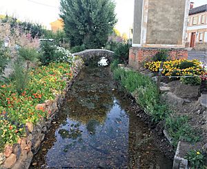 Archivo:Presa y puente de Gallegos de Curueño