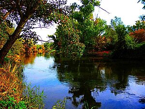 Archivo:Río Jarama po San Fernando de Henares, en la linde sur del término antes de confluir con el río Henares