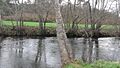 Río Lengüelle