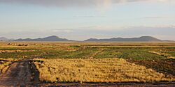 RN4 Bolivia Altiplano 03 2019 Cahuasi-Caracollo 2.jpg