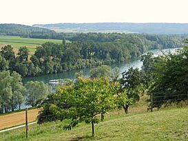 RhineAtGailingen.jpg