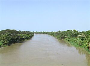Archivo:Rio sinu desde el puente - panoramio