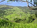 Road up Mount Bently, Palm Island