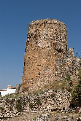 Siles2010002.jpg