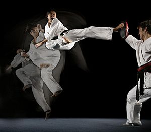 Archivo:Steven Ho Martial Arts Kick