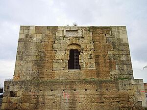 Archivo:TORRE DE DON FADRIQUE 13-01-06