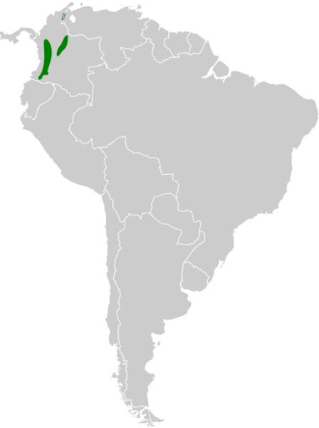 Thamnophilus multistriatus map