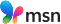2024 new msn logo