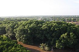 Archivo:Amanecer dominical. Río Ranchería y bosque - panoramio
