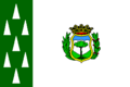 Bandera de Cercedilla.png