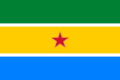 Bandera del Municipio McGregor