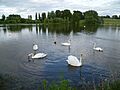 Blenheim Palace Park and Garden