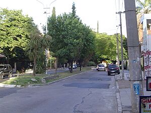 Archivo:Boulevard Vignes Haedo