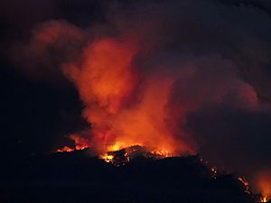 Archivo:CZU lightning complex fire on Butano Ridge