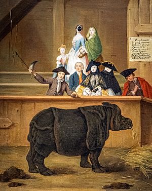Archivo:Ca' Rezzonico - Il rinoceronte 1751 - Pietro Longhi 