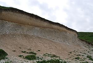 Archivo:Calcareous Soil Profile, Seven Sisters Country Park - geograph.org.uk - 1280181