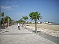 Cambils006