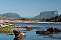 Canaima 6