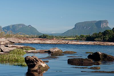 Canaima 6.JPG