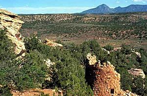 Archivo:Canyons of the Ancients National Monument