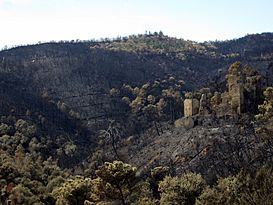 Castell de Vilaromà situació.jpg