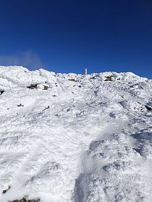 Archivo:Cima de Peñalara con nieve en diciembre. España. Spain