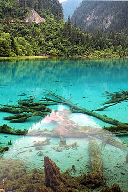 Clear water of Jiuzhaigou Valley.jpg