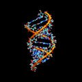 Double-stranded RNA