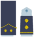 Ejerairedivies24.svg