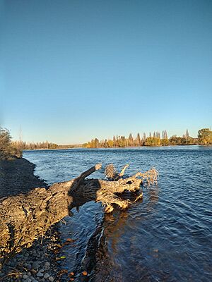Archivo:El Limay en su máxima expresión