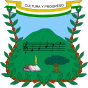 Escudo de Vianí.svg