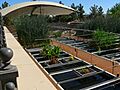 Ethel M Living Machine 2