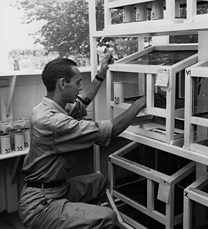 Archivo:Eugenio Morales en Managua (1951)